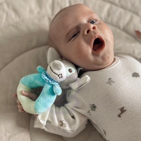 WOOPIE BABY Grzechotka Pluszak Przytulanka dla Niemowląt Piesek WOOPIE BABY Grzechotka Pluszak Przytulanka dla Niemowląt Piesek