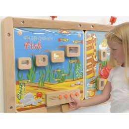 MASTERKIDZ Cykl Życia Ryby Tablica Edukacyjna Podświetlana