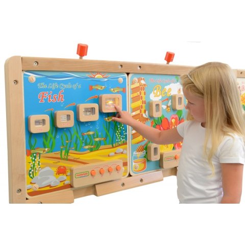 MASTERKIDZ Cykl Życia Ryby Tablica Edukacyjna Podświetlana MASTERKIDZ Cykl Życia Ryby Tablica Edukacyjna Podświetlana