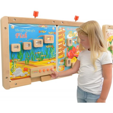 MASTERKIDZ Cykl Życia Ryby Tablica Edukacyjna Podświetlana MASTERKIDZ Cykl Życia Ryby Tablica Edukacyjna Podświetlana