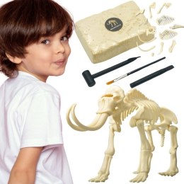 WOOPIE Zabawka Kreatywna Dinozaur Szkielet Wykopalisko Archeologiczne