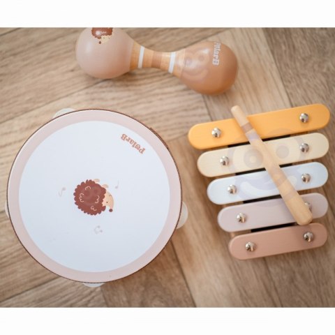 VIGA PolarB Zestaw Instrumentów Muzycznych Z Ptaszkiem